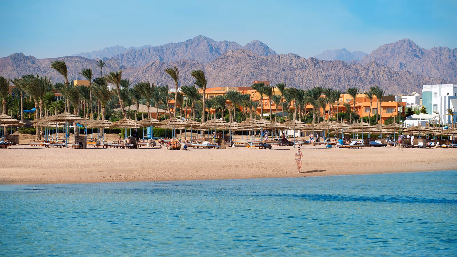 Nabq Bay