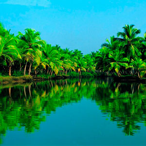 კერალა - სურათი 1