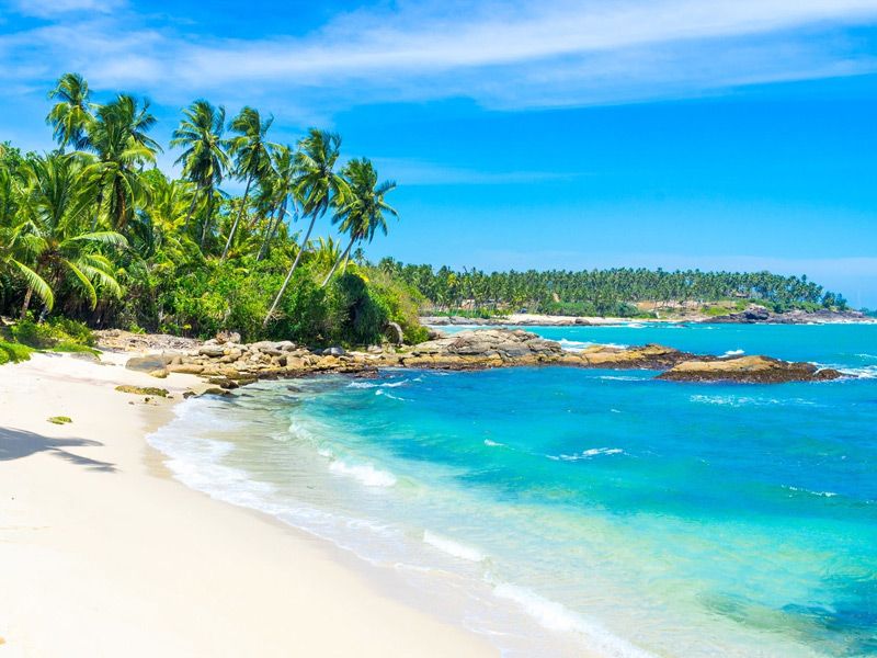 ბენტოტა ბენტოტა-1