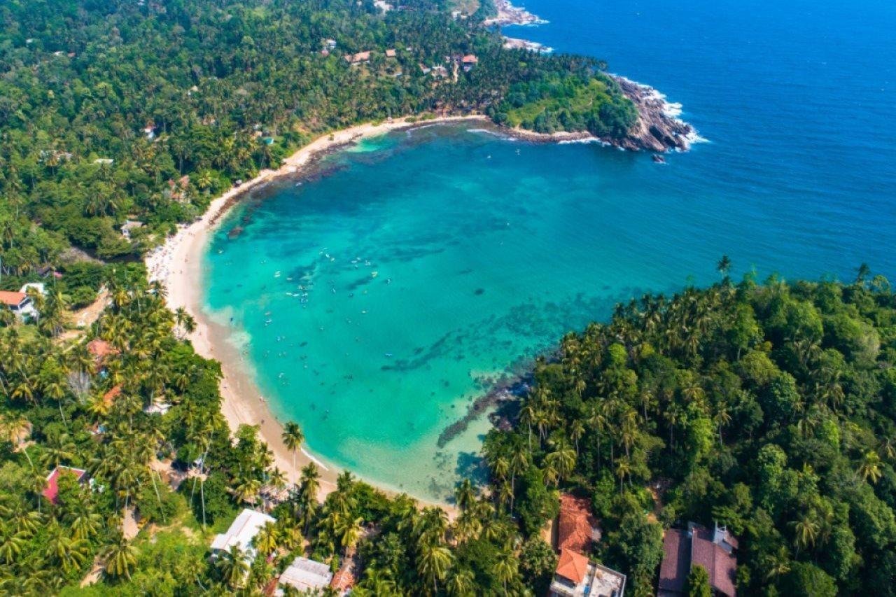 დიკველა სურათი-1