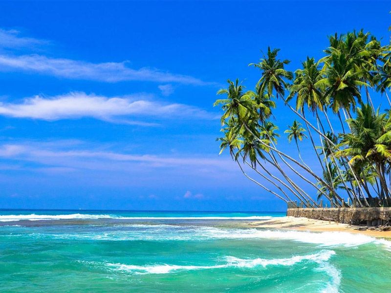 ჰიკადუვა სურათი-1