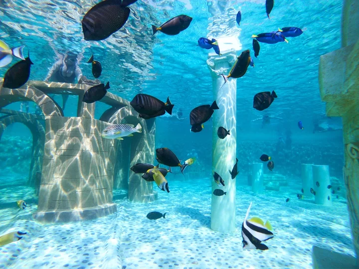 Sea Alanya seapark